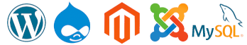 CMS Codeguard